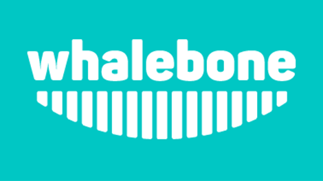 Whalebone